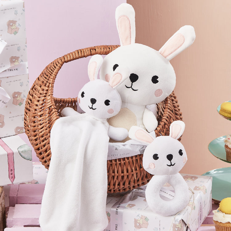 Baby Soft Toys Collection