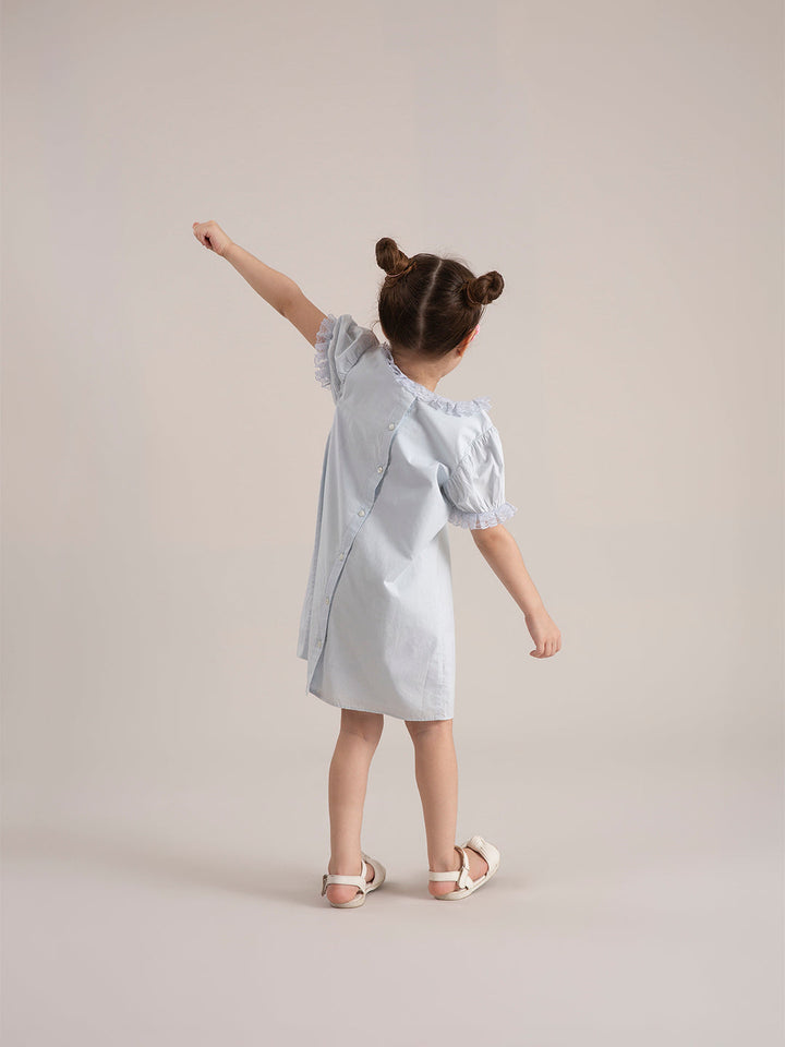 Baby Girl Macaroon Blue Embroidered Organic Cotton Dress back view