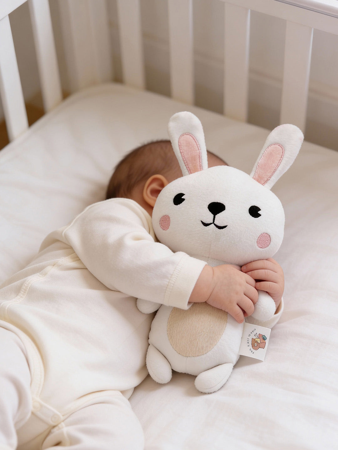 Bunny Soft Toy