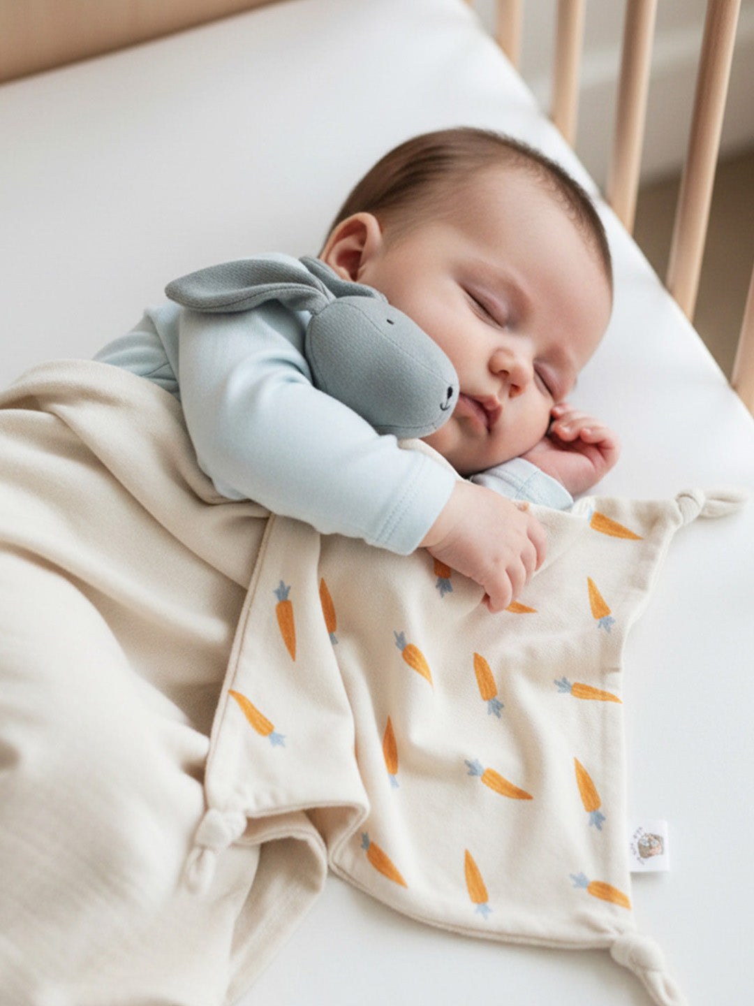 Rabbit with Carrot Baby Security blanket toy