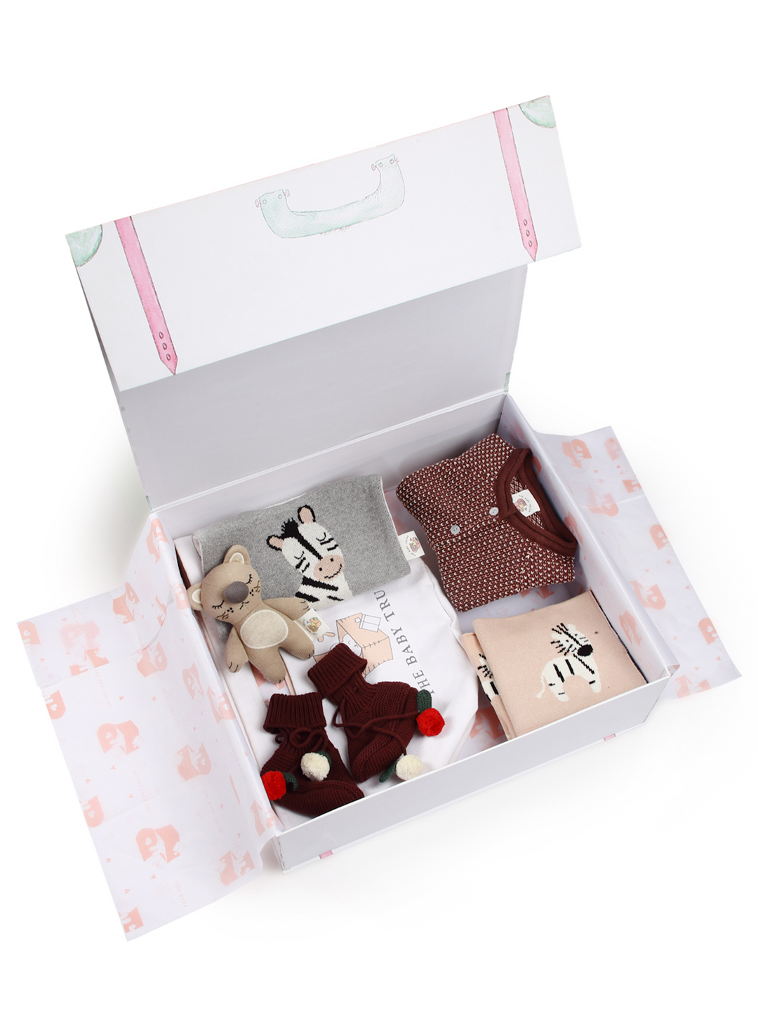 Zingy Zebra Gift set for Newborn with five types of newborn baby items