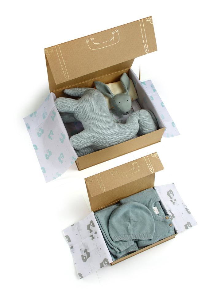 Dino-Might Baby Gift set