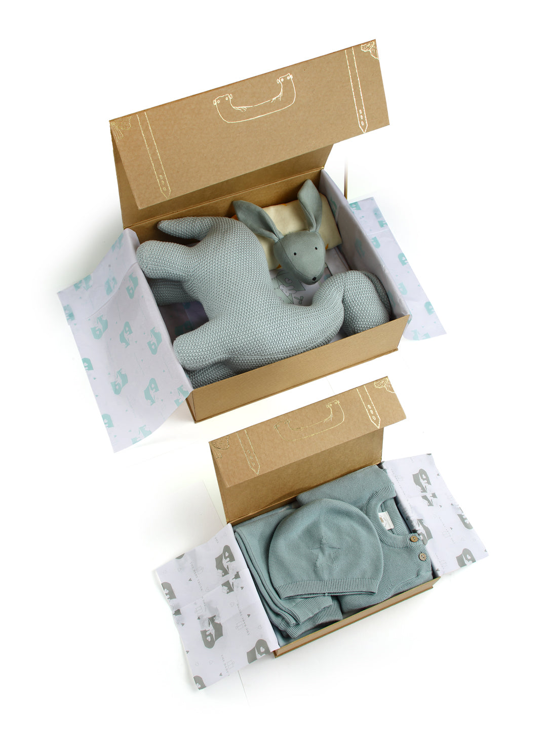 Dino-Might Baby Gift set