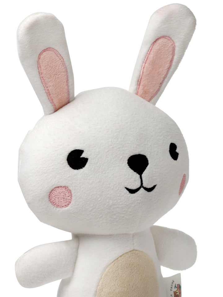 Bunny Soft Toy for Newborn Babies