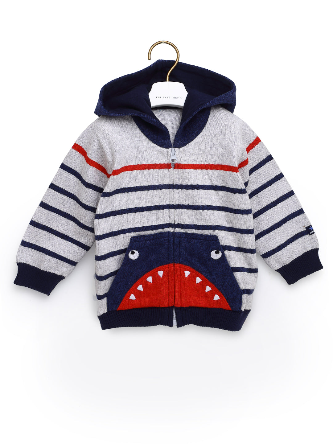 Dinosaur Stripe Hood For Infants